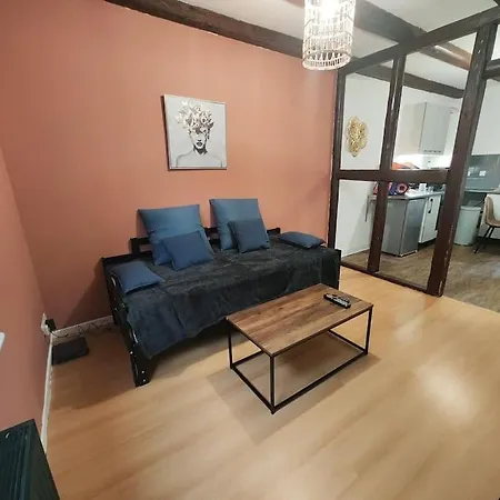 Daire Comfortable T2 In Neudorf,